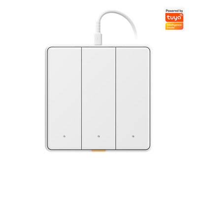 Buen precio Tuya WIFI Touch Switch Hogar inteligente con aplicación de timing de voz tipo C Alexa, Google Home RF433 Smart EU Switch con botón de luz de pared en línea